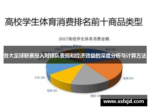 各大足球联赛投入对球队表现和经济效益的深度分析与计算方法