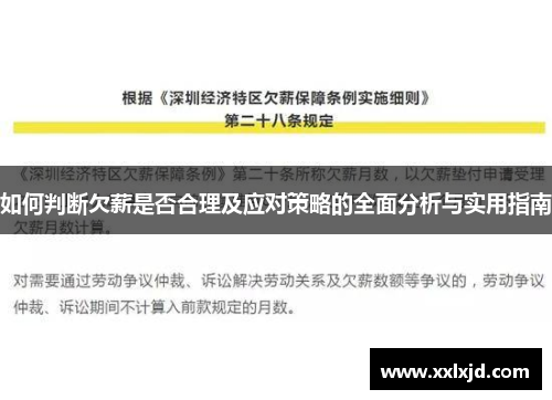 如何判断欠薪是否合理及应对策略的全面分析与实用指南